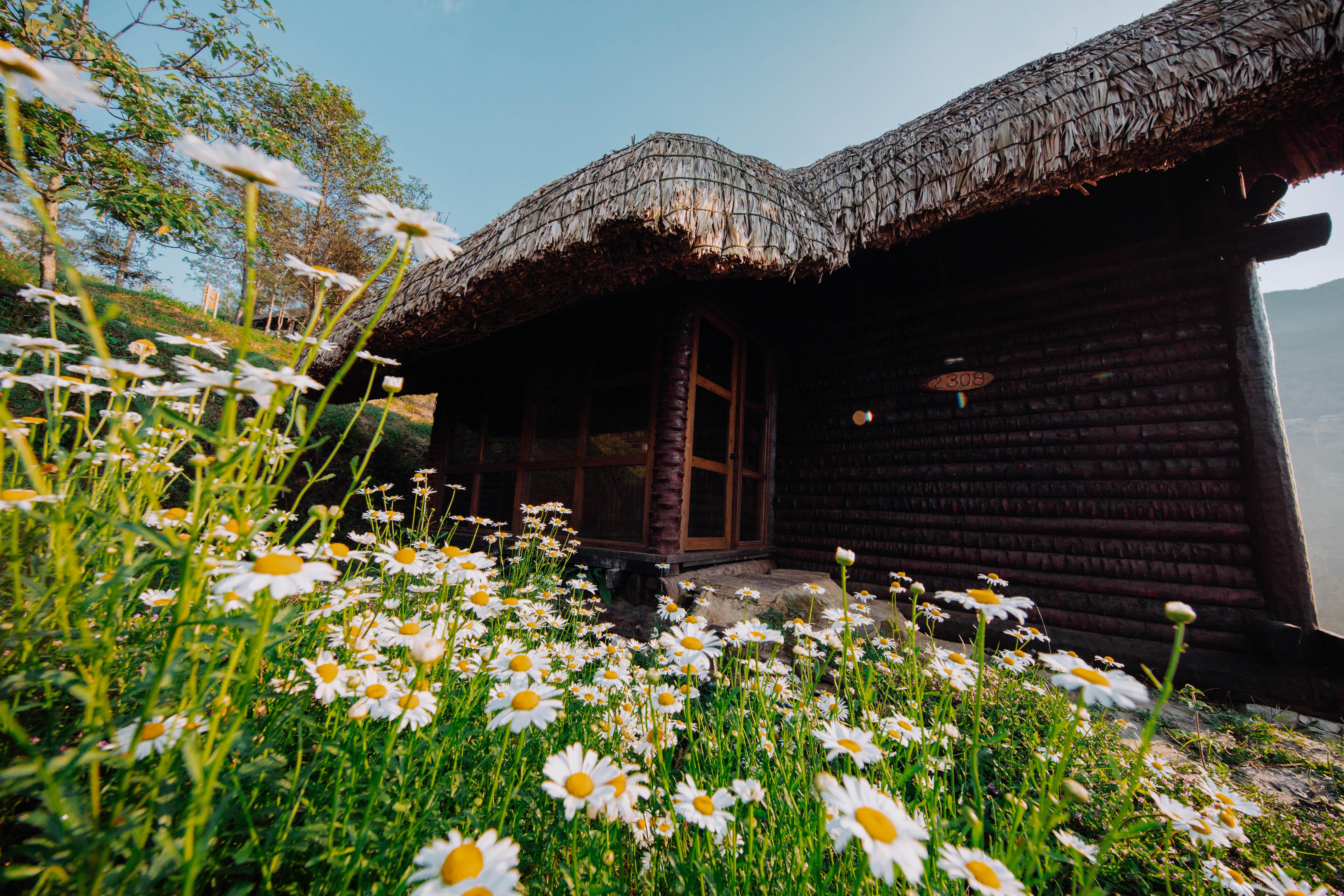 Sapa Jade Hill Resort & Spa Екстер'єр фото